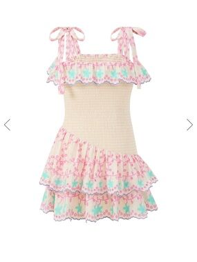 Alanna Shirred Embroidered Mini Dress
